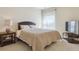 Bedroom featuring neutral walls and carpeting with a minimalist design, and a view out the window at 4619 Mohawk Dr, Larkspur, CO 80118