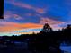 Beautiful Colorado sunset with colorful skies over a treelined neighborhood at 4619 Mohawk Dr, Larkspur, CO 80118