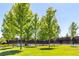 Community tennis court framed by vibrant trees and lush green lawns at 9898 Tourmaline Ct, Parker, CO 80134