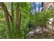 Backyard featuring a creek surrounded by lush greenery, offering a peaceful and private outdoor space at 1024 Cottonwood Cir, Golden, CO 80401