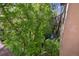 View of a lush backyard and creek from an upper level deck, showcasing the serene surroundings at 1024 Cottonwood Cir, Golden, CO 80401
