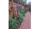 Vegetable garden with a variety of plants growing in raised beds along a wooden fence at 1572 Leyden St, Denver, CO 80220