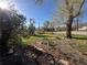 Landscaped front yard with stepping stones, green grass, and mature trees at 1129 2Nd Ave, Longmont, CO 80501