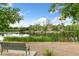 Serene pond scene in a park setting with a bench at 1827 N Bellaire St, Denver, CO 80220