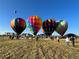 Colorful hot air balloons taking off in a field at 410 Smith Cir, Erie, CO 80516