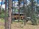 Wooded property showcasing a large yard with mature trees at 85 S Sherwood Gln, Monument, CO 80132
