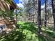 Well maintained yard with side of house and lots of trees at 85 S Sherwood Gln, Monument, CO 80132