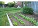 Well-tended backyard vegetable garden with healthy greens in raised bed at 1047 Scranton St, Aurora, CO 80011