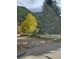 Charming home with a well-maintained yard, mature trees and white picket fence at 814 Rose St, Georgetown, CO 80444