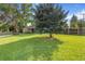 Spacious front yard featuring a large tree, lush green grass, and a view of the home at 111 S Eaton St, Lakewood, CO 80226
