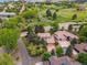 Aerial view of homes surrounded by mature trees, highlighting the neighborhood's natural beauty and peaceful setting at 10506 Brown Fox Trl, Littleton, CO 80125