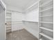 Well-organized walk-in closet with built-in shelving and ample storage space at 10506 Brown Fox Trl, Littleton, CO 80125