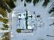Aerial view of snow-covered cabin with green roof surrounded by evergreen trees at 812 High Point Dr, Breckenridge, CO 80424