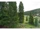 Wooded area with tall evergreen trees and distant mountain views at 46 Mcdill Rd, Breckenridge, CO 80424