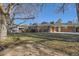 Expansive backyard featuring a lush lawn and mature trees, perfect for outdoor activities at 1701 S Newport Way, Denver, CO 80224