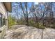 A raised deck surrounded by natural beauty, mature trees and undergrowth at 2949 Vivian St, Wheat Ridge, CO 80215