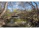 A creek meanders through a backyard bordered by lush foliage and trees, creating a serene natural ambiance at 2949 Vivian St, Wheat Ridge, CO 80215
