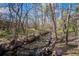 Creek flowing amongst trees and rocks, creating a tranquil and peaceful natural ambiance at 2949 Vivian St, Wheat Ridge, CO 80215