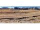 Open green space within the community at 12668 Ulster St, Thornton, CO 80602