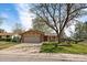 Inviting home showcases a manicured lawn, mature tree, and a two-car garage at 8364 Allison Ct, Arvada, CO 80005
