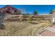 Expansive backyard with terraced landscaping, mature trees, and a wood fence at 3309 Thornwood Ct, Castle Rock, CO 80108