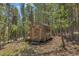 Rustic wooden shed nestled in a wooded area at 28 Deer Rd, Evergreen, CO 80439