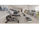 Basement featuring a home gym, offering various workout equipment, and a spacious area for a comfortable exercise at 12953 Bridge View Ln, Parker, CO 80134
