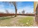 Large, open backyard with grass, fenced-in boundary, and shade at 902 Pacific Pl, Fort Lupton, CO 80621