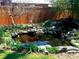Backyard pond with a variety of plants, landscaping rocks, and aquatic life at 1944 Hudson St, Denver, CO 80220