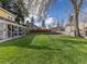 Expansive backyard with lush green grass, ideal for outdoor activities and relaxation at 7835 Valley View St, Louviers, CO 80131