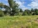 Vacant lot with tall grass and trees at 1851 S Perry Way, Denver, CO 80219