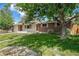 Charming brick home featuring a well-manicured lawn and mature trees creating a serene and inviting atmosphere at 8675 W 60Th Ave, Arvada, CO 80004