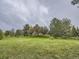 Expansive backyard with lush greenery, mature trees, and a charming home in the distance at 18963 E Long Ave, Centennial, CO 80016