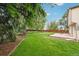 Expansive backyard featuring a large, well-maintained lawn, patio, and mature trees at 5262 E Sandpiper Ave, Castle Rock, CO 80104