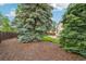This spacious backyard features a lush lawn, mature trees and a stone patio with firepit at 5262 E Sandpiper Ave, Castle Rock, CO 80104