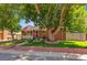 Charming brick home featuring a large tree in the front yard at 1922 Graves Ct, Northglenn, CO 80233