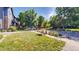 Landscaped front yard with healthy green grass and neighborhood street view at 14230 Lakeview Ln, Broomfield, CO 80023