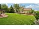 Well-manicured backyard featuring a lush lawn and wooden fence, creating a private and serene outdoor space at 641 Briar Haven Dr, Castle Pines, CO 80108
