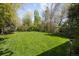 Expansive green backyard with mature trees, offering a serene and private outdoor space; great for recreation at 2060 Hoyt St, Lakewood, CO 80215