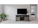 Living room features a media center with an entrance leading to a bedroom at 11338 Donley Dr, Parker, CO 80138