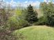 Private back yard featuring lush greenery, mature trees, and a manicured lawn at 6335 Oberon Rd, Arvada, CO 80004