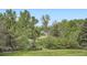 View of backyard featuring lush green lawn and mature trees beyond at 6335 Oberon Rd, Arvada, CO 80004