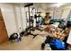 The basement features exercise equipment and a carpet at 2213 S Meade Street, Denver, CO 80219