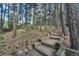 Wooded backyard with mature trees and landscaping features at 17865 Smugglers Rd, Monument, CO 80132