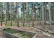 Wooded backyard featuring landscaping and mature trees at 17865 Smugglers Rd, Monument, CO 80132