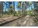 Wooded backyard with natural landscaping and mature trees at 17865 Smugglers Rd, Monument, CO 80132