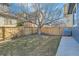 Backyard with large tree and privacy fence at 2649 Westgate Ave, Highlands Ranch, CO 80126