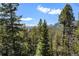 Scenic mountain view amidst lush greenery and blue skies, showcasing the property's surroundings at 11557 Green Cir, Conifer, CO 80433