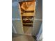 Under stair storage with shelving at 3735 S Lewiston St, Aurora, CO 80013