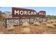 Welcome to Morgan Hill. Stone sign displaying neighborhood name at 1953 Morgan Dr, Erie, CO 80516